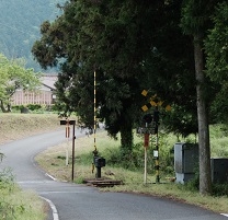 樽見鉄道線の踏切を超える