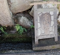 郡上八幡の用水路
