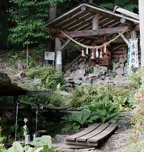 水神の水