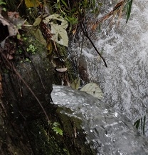 中津川市　道すがら