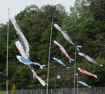 道の駅おばあちゃん市・山岡　こいのぼり