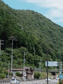 国道41号線　道の駅ロックガーデン前