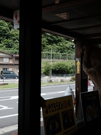 道の駅 ロック・ガーデンひちそう