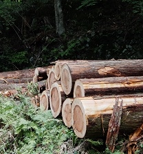 渡合温泉までの道