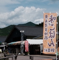 道の駅　茶の里東白川　野菜村