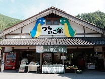 つちのこ館　外観