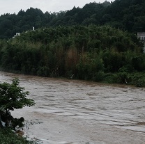 濁流となった津保川