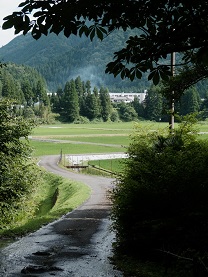 御姥様の水　前の道路