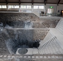 地震断層観察館　断層の断面