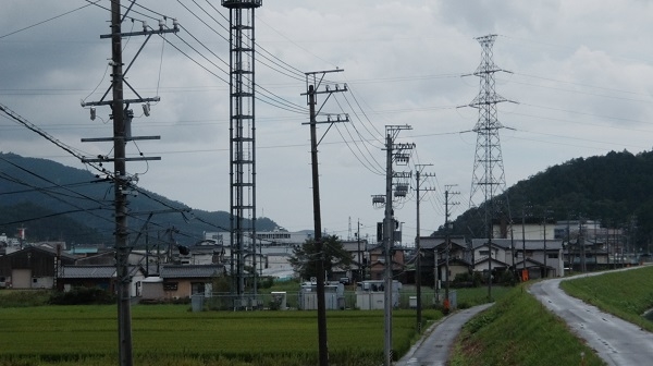 山県市から南を望む