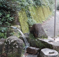 白川町国道41号線沿いの湧き水