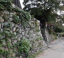 上有知湊(川湊灯台) 医師団