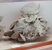 ストーンミュージアム博石館　鉱物展示館