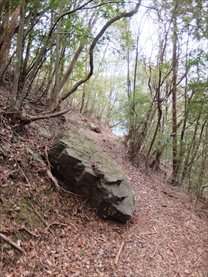 めい想の森　山道