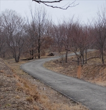 キリン木曽川水源の森