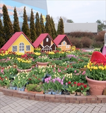 木曽三川公園センター　春こいフェス